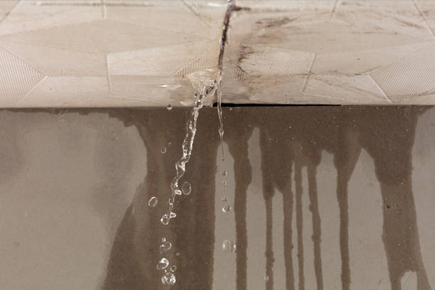 Professional Structural Drying technician working in New Vienna, OH